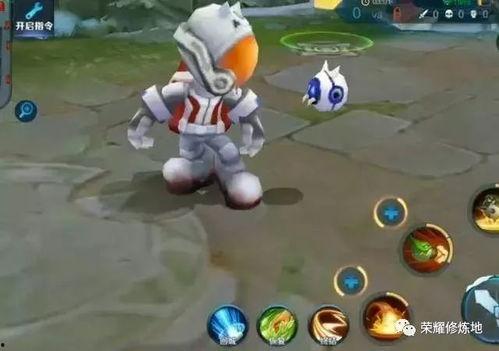 篮球小鲁班爆料视频大全,揭秘篮球技巧与赛场风云